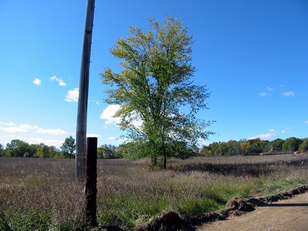 Sundown Drive-In Theatre - Now - Photo From Water Winter Wonderland (newer photo)